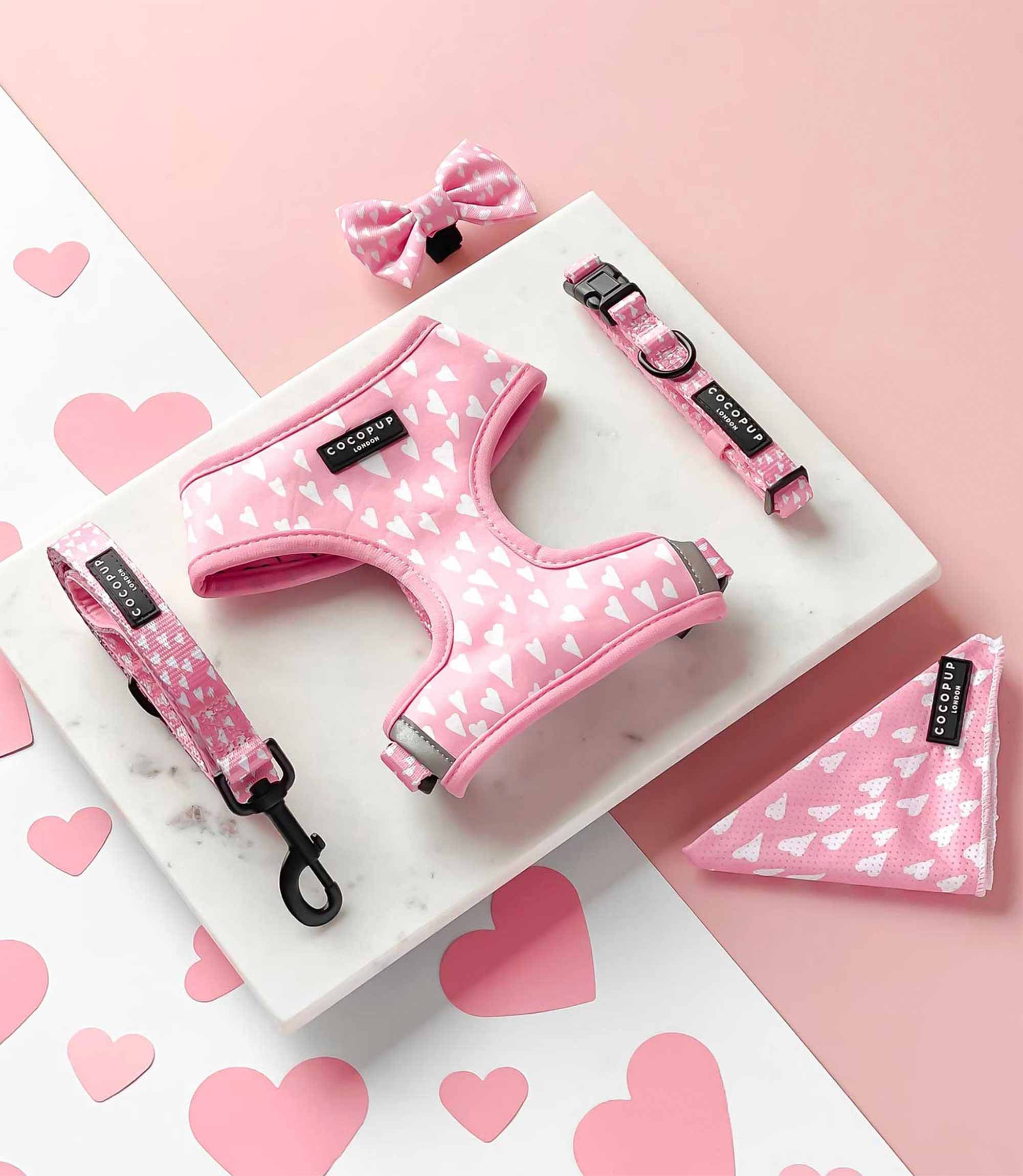 Cocopup London - Cupid Collar - Nest Pets