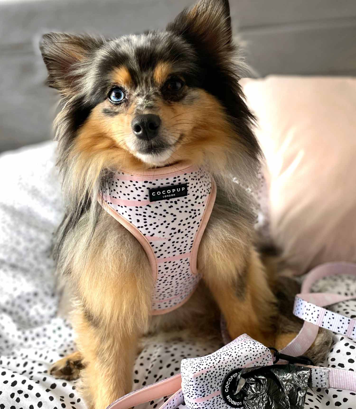 Cocopup London - Pink Dalmatian Reversible Harness - Nest Pets