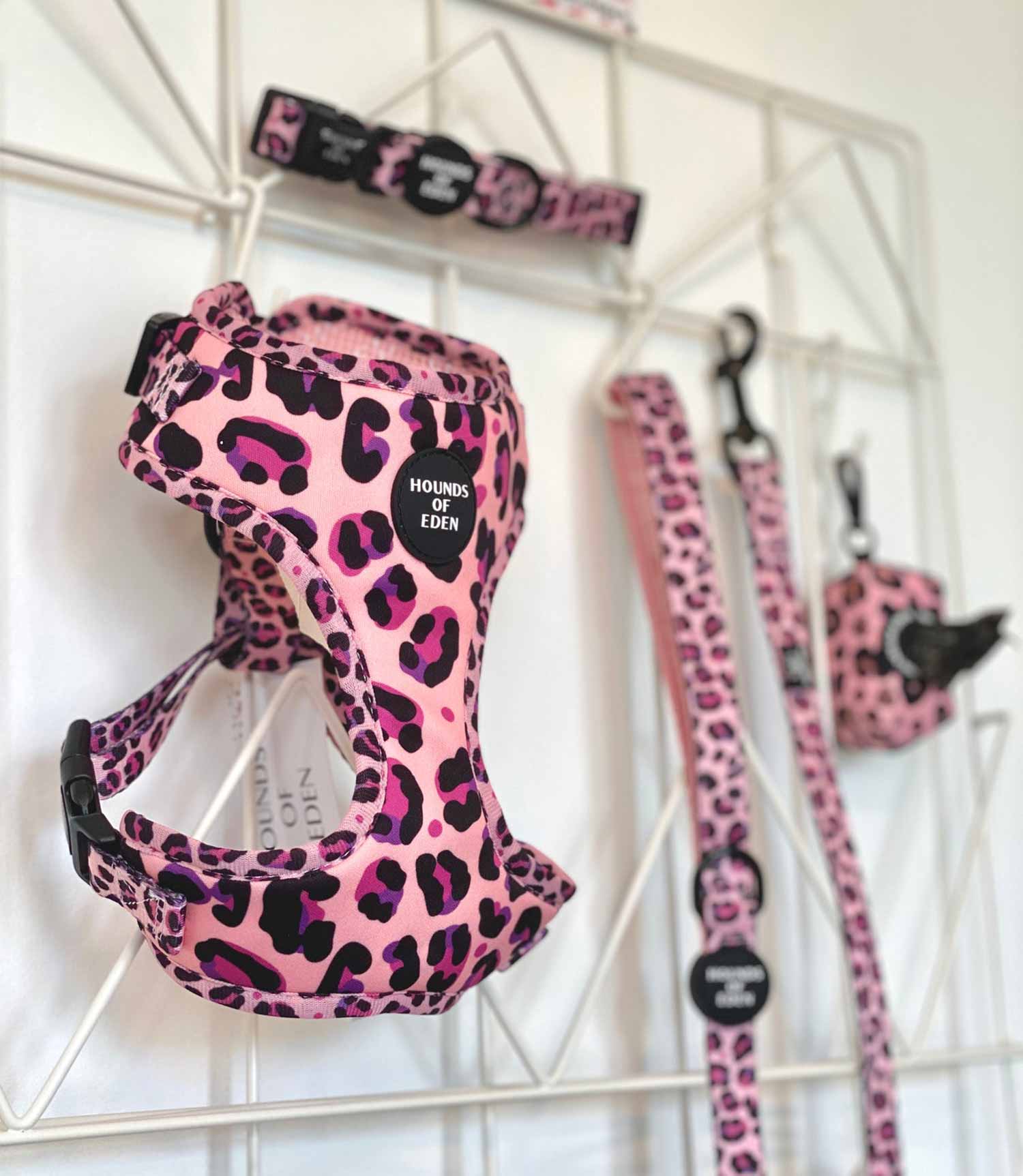 Hounds of Eden 'Blushing Leopard' - Pink Dog Collar - Nest Pets