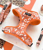 Cocopup London - Stay Wild Harness - Nest Pets