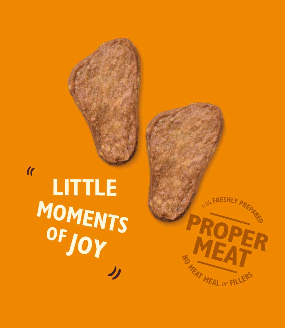 Lily's Kitchen Dog Chicken Jerky Dog Treats - 70g - Nest Pets