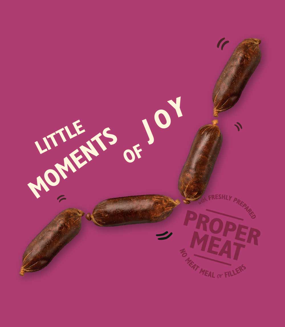 Lily's Kitchen Dog Duck & Venison Sausage Dog Treats - 70g - Nest Pets