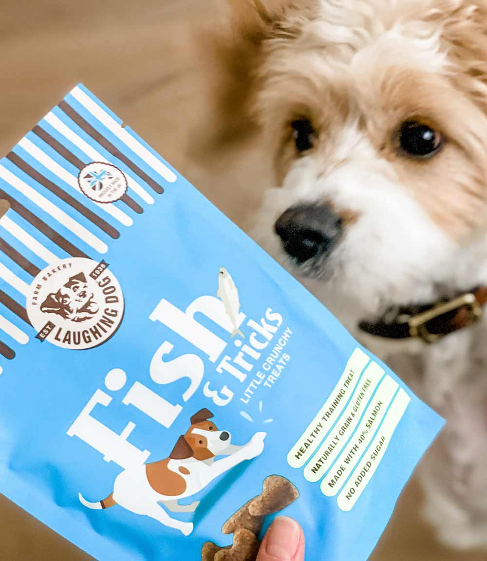 Laughing Dog Fish & Tricks Dog Treats - 125g - Nest Pets