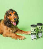Pooch & Mutt Fresh Breath Mini Bone Dog Treats - 125g - Nest Pets