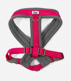 Ancol Viva Padded Dog Harness - Nest Pets