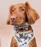 Cocopup London - Ivory Tort Bow Tie - Nest Pets