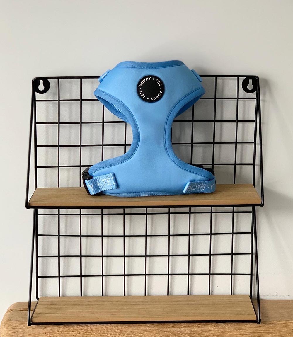 Poppy + Ted - Walk + Wear Cornflower Blue Dog Harness - Nest Pets
