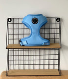 Poppy + Ted - Walk + Wear Cornflower Blue Dog Harness - Nest Pets