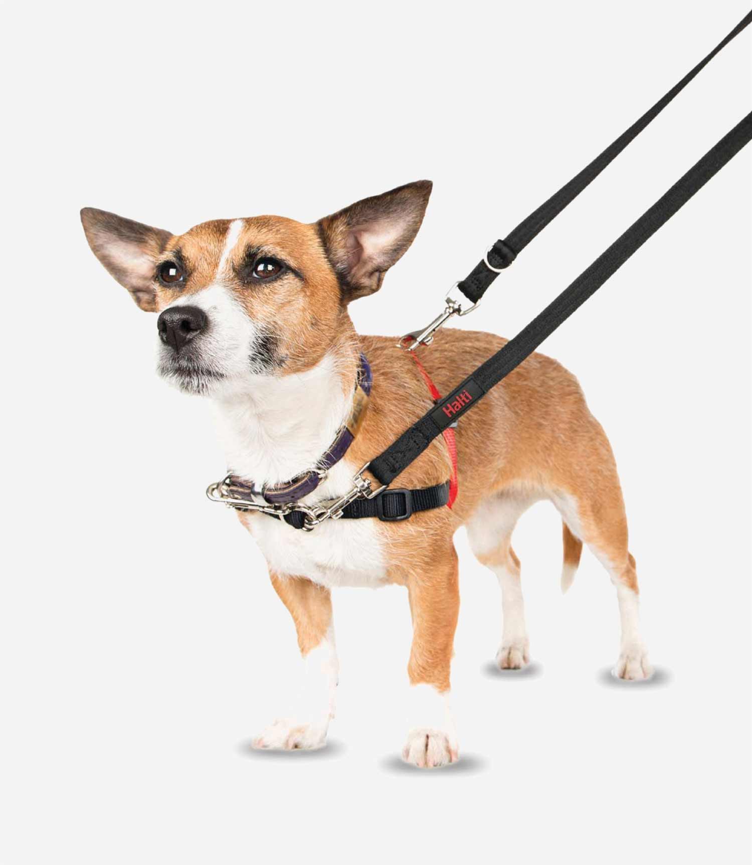 Halti Front Control Dog Harness - Nest Pets
