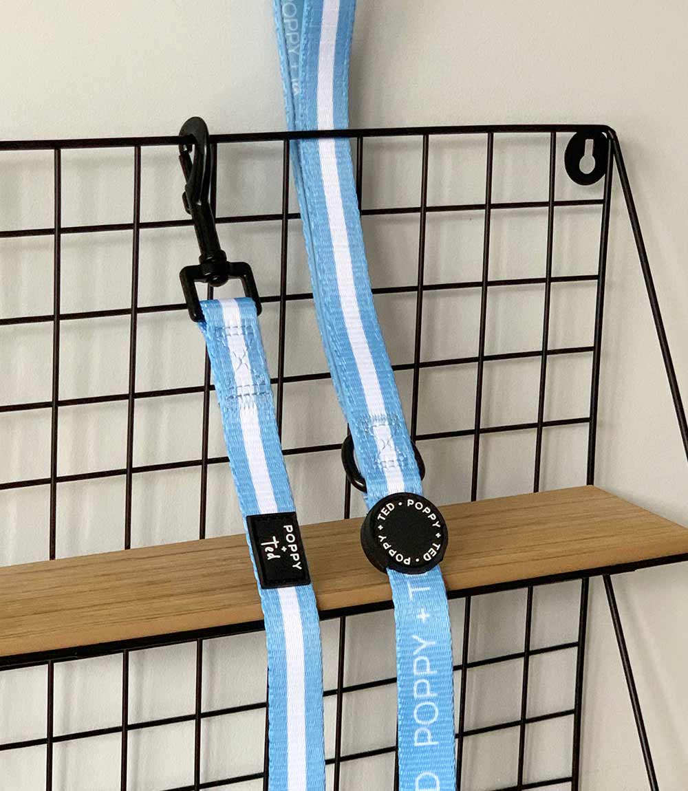 Poppy + Ted - Walk + Wear Cornflower Blue Dog Lead - Nest Pets
