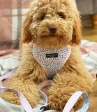 Cocopup London - Pink Dalmatian Lead - Nest Pets