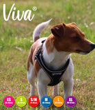 Ancol Step In Dog Harness - Nest Pets