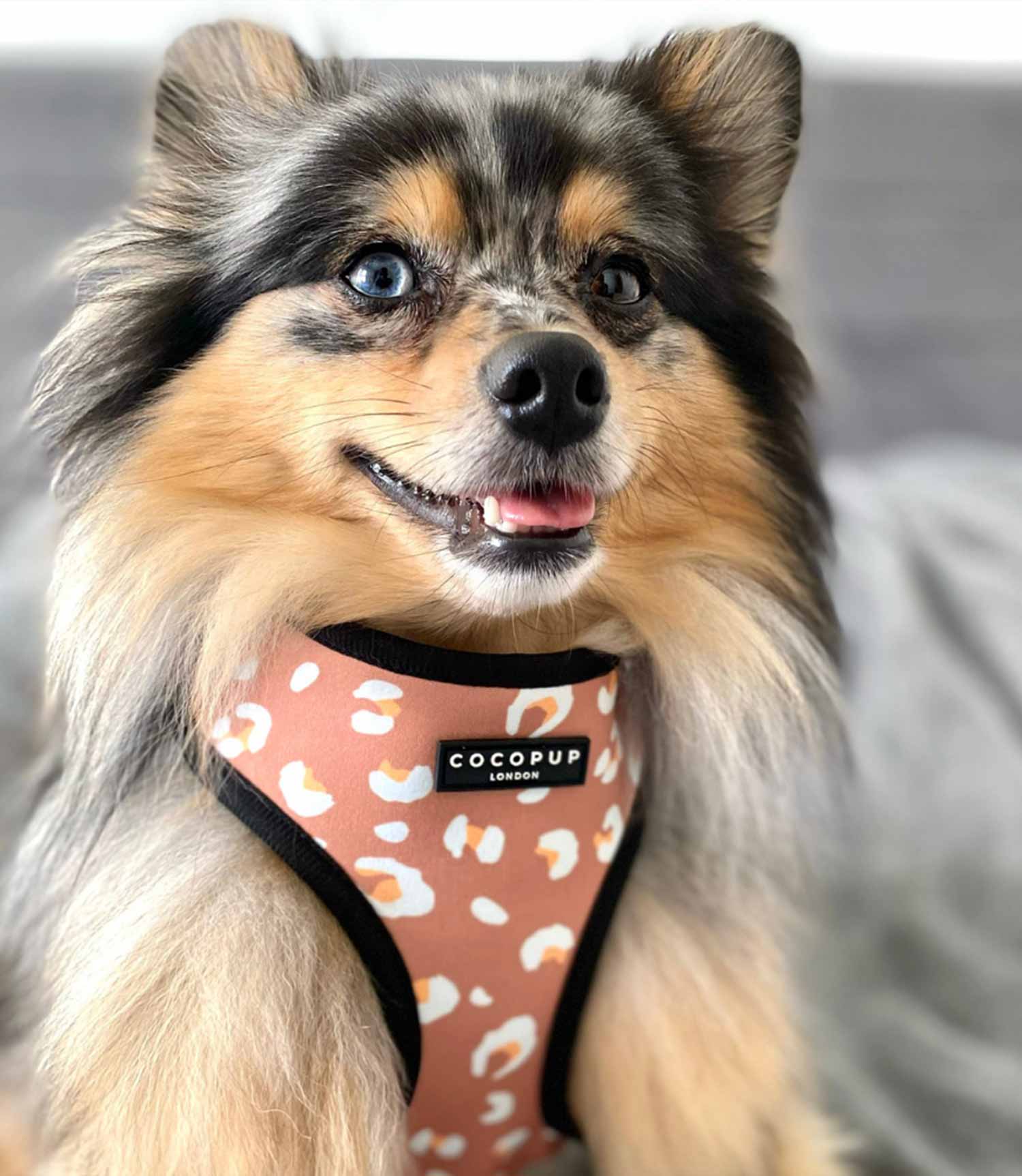 Cocopup London - Khaki Leopard Reversible Harness - Nest Pets