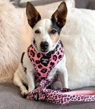 Hounds of Eden 'Blushing Leopard' - Pink Dog Harness - Nest Pets