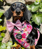 Hounds of Eden 'Florentina' - Floral Dog Harness - Nest Pets