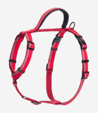Halti Walking Dog Harness - Nest Pets