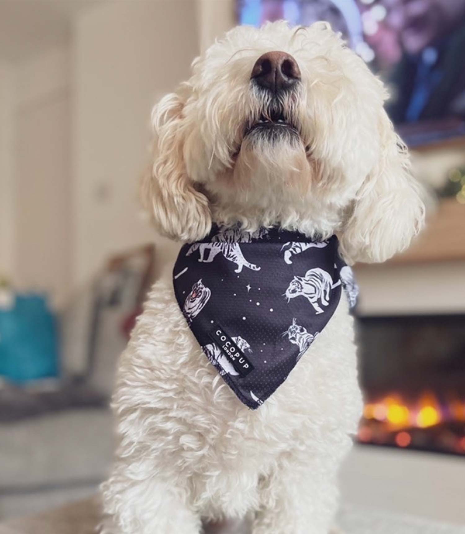 Cocopup London - Midnight Tiger Bandana - Nest Pets