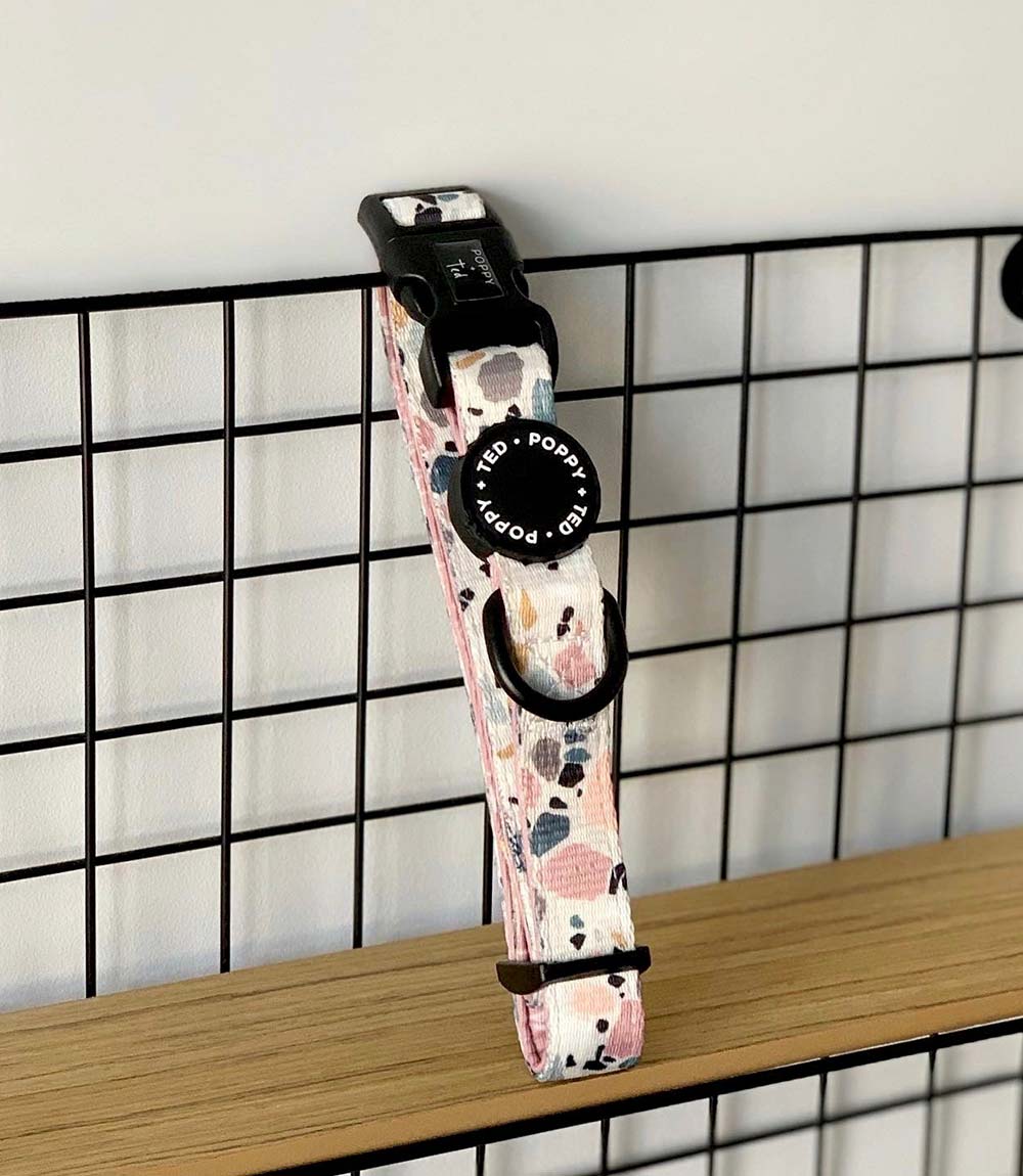 Poppy + Ted - Walk + Wear Party Pup Dog Collar - Nest Pets