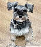 Cocopup London - Ivory Tort Lead - Nest Pets