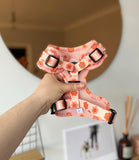 Poppy + Ted - Walk + Wear Flower Power Dog Harness - Nest Pets