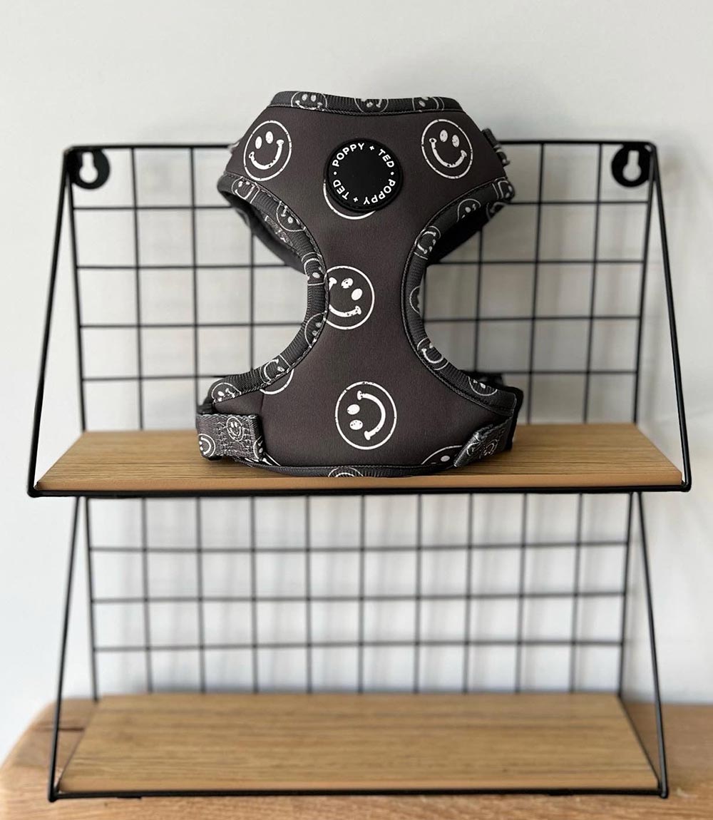 Poppy + Ted - Walk + Wear Happy Stamp Dog Harness - Nest Pets