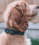 Cocopup London - Khaki Leopard Collar - Nest Pets