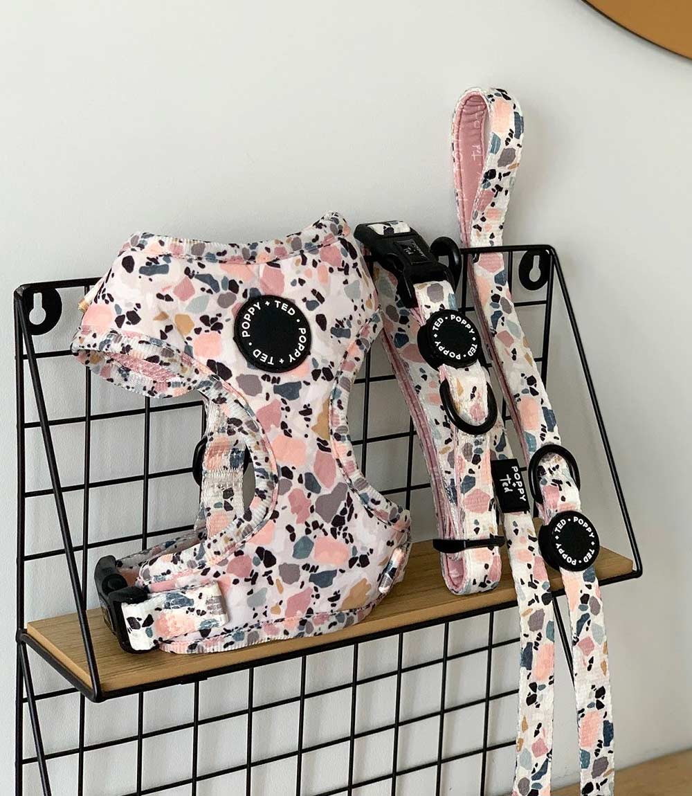 Poppy + Ted - Walk + Wear Party Pup Dog Harness - Nest Pets