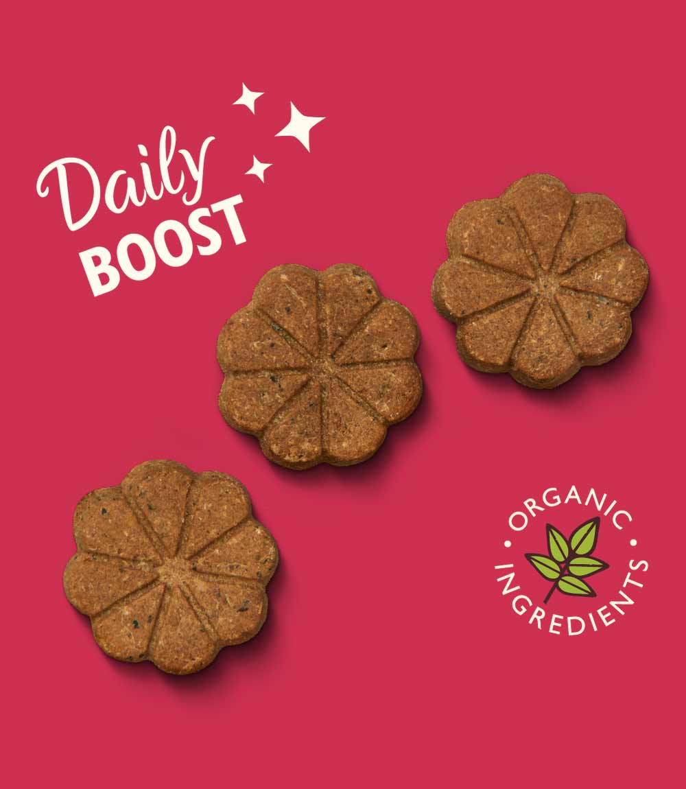 Lily's Kitchen Dog Rise & Shines Dog Treats - 80g - Nest Pets