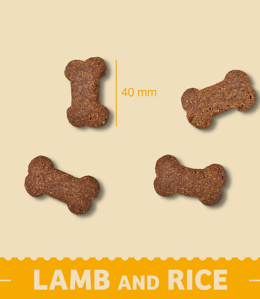 James Wellbeloved Minijacks Lamb Dog Treats - 90g - Nest Pets