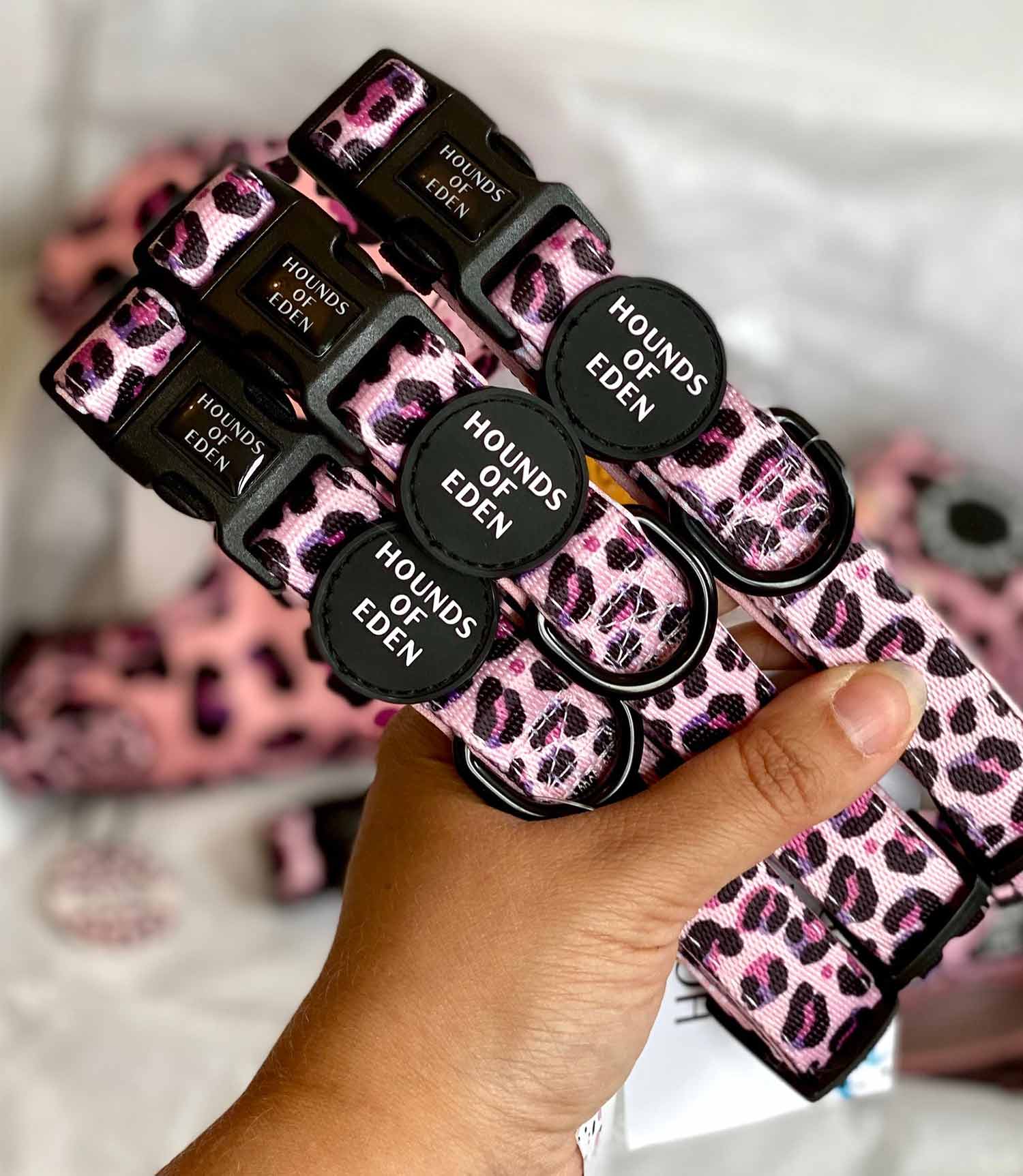 Hounds of Eden 'Blushing Leopard' - Pink Dog Collar - Nest Pets