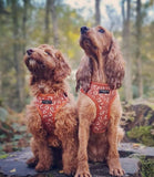 Cocopup London - Stay Wild Harness - Nest Pets