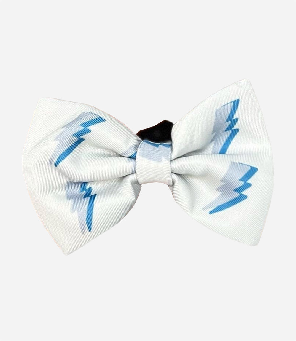 Poppy + Ted - Walk + Wear Get Ziggy With It Dog Bow Tie - Nest Pets