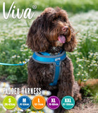Ancol Viva Padded Dog Harness - Nest Pets