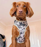 Cocopup London - Ivory Tort Harness - Nest Pets