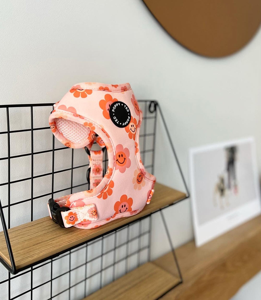 Poppy + Ted - Walk + Wear Flower Power Dog Harness - Nest Pets