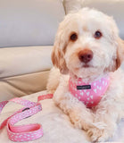 Cocopup London - Cupid Lead - Nest Pets