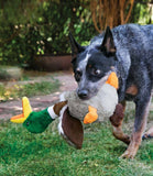 Kong Shakers Honkers Duck Dog Toy - Nest Pets
