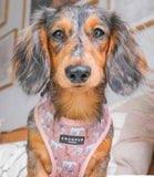 Cocopup London - Safari Animals Harness - Nest Pets