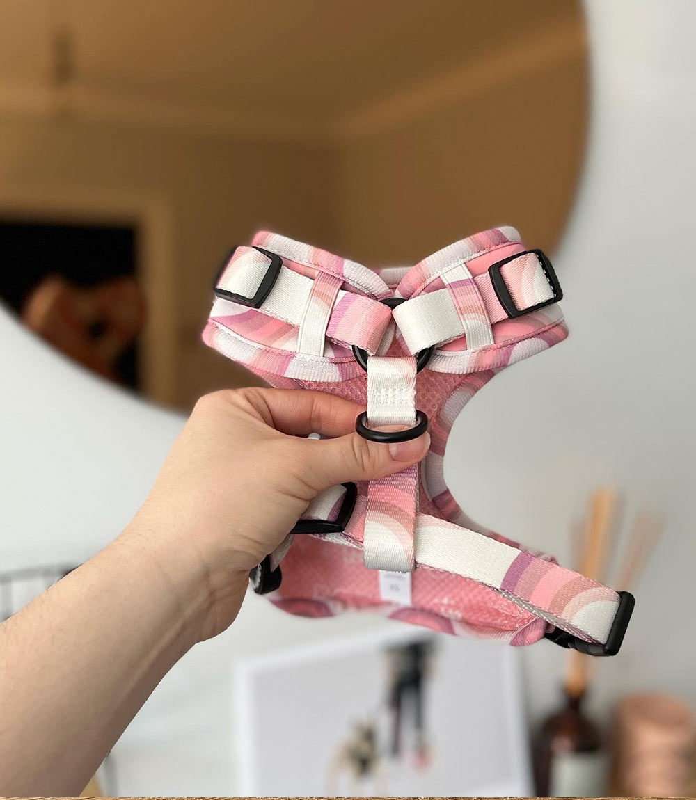 Poppy + Ted - Walk + Wear Pink Vibes Dog Harness - Nest Pets
