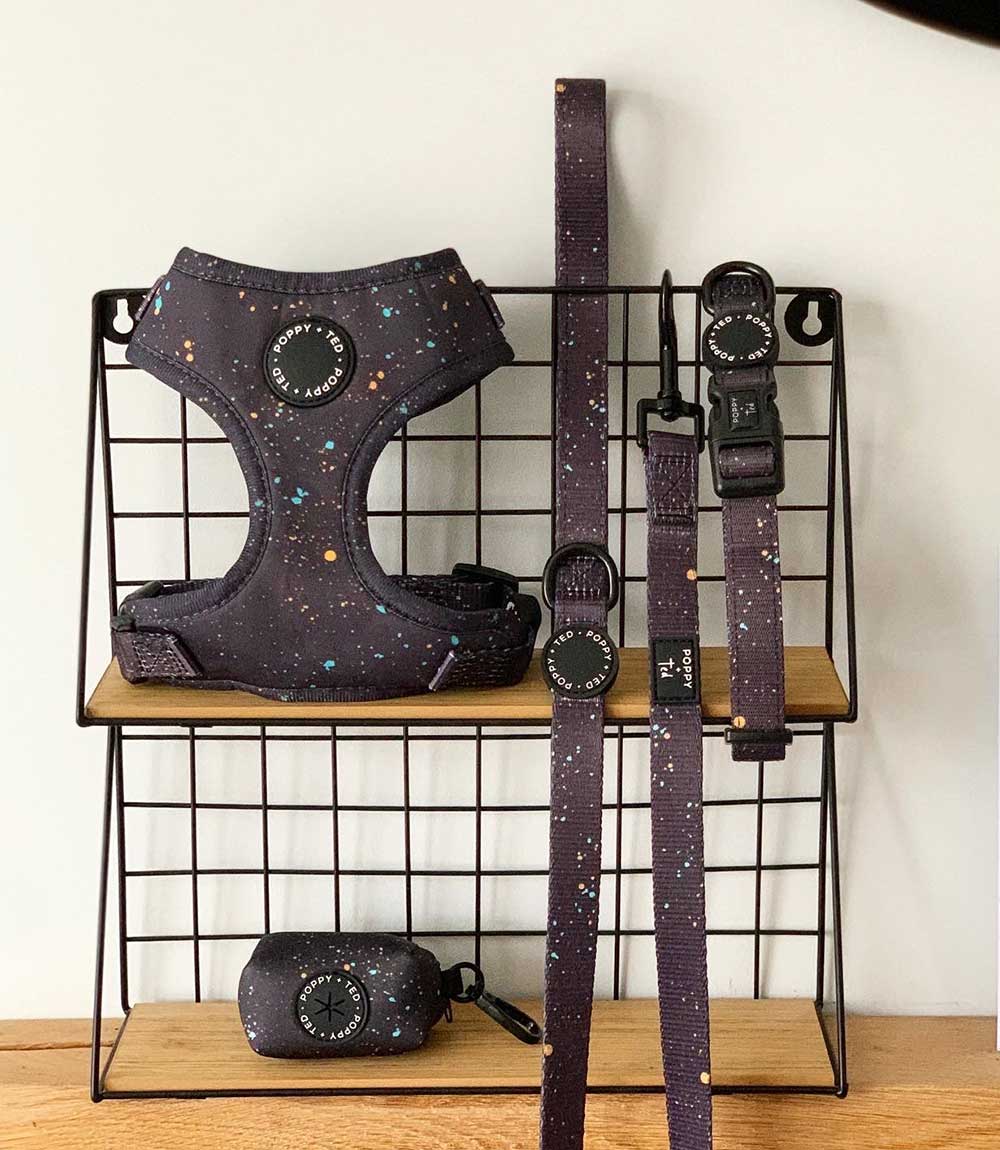 Poppy + Ted - Walk + Wear Gold Dust Dog Collar - Nest Pets