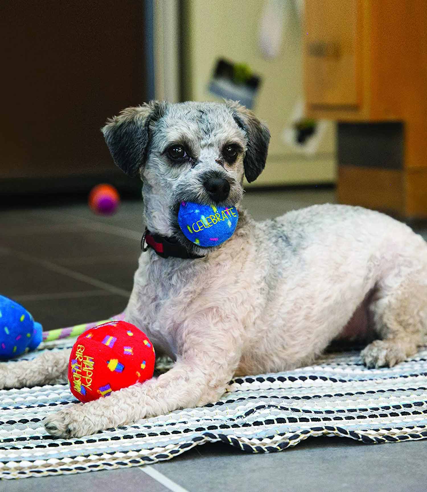 Kong Birthday Balls - 2 Pack - Nest Pets