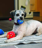 Kong Birthday Balls - 2 Pack - Nest Pets