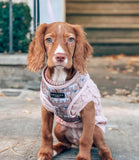 Cocopup London - Safari Animals Harness - Nest Pets