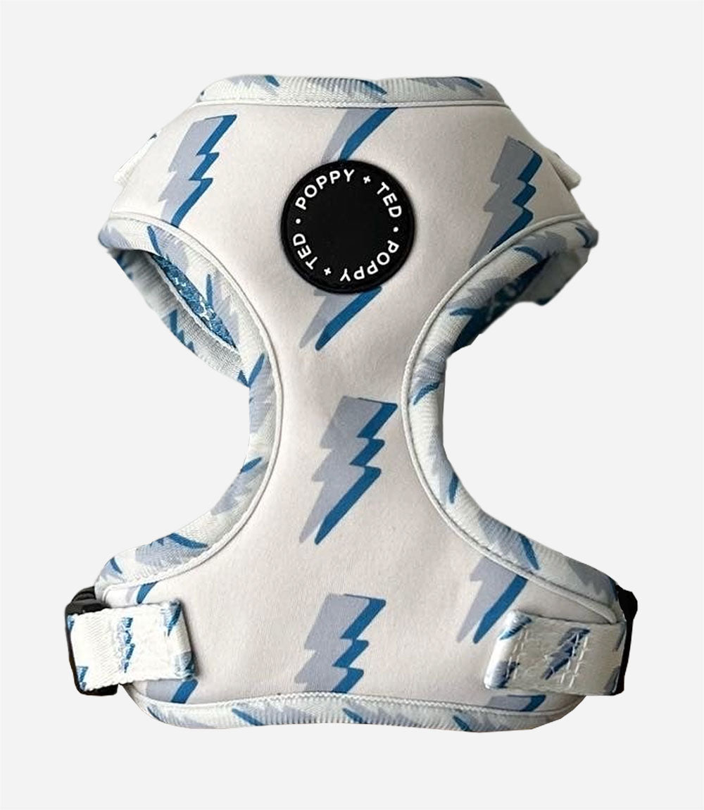 Poppy + Ted - Walk + Wear Get Ziggy With It Dog Harness - Nest Pets