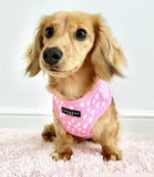 Cocopup London - Cupid Reversible Harness - Nest Pets