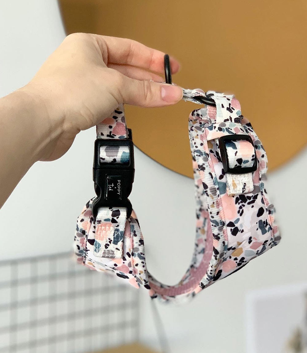 Poppy + Ted - Walk + Wear Party Pup Dog Harness - Nest Pets