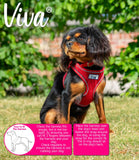 Ancol Comfort Mesh Dog Harness - Nest Pets