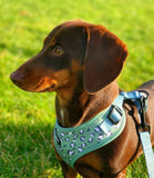 Cocopup London - Sage Leopard Harness - Nest Pets