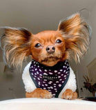 Cocopup London - Monochrome Spots Reversible Harness - Nest Pets
