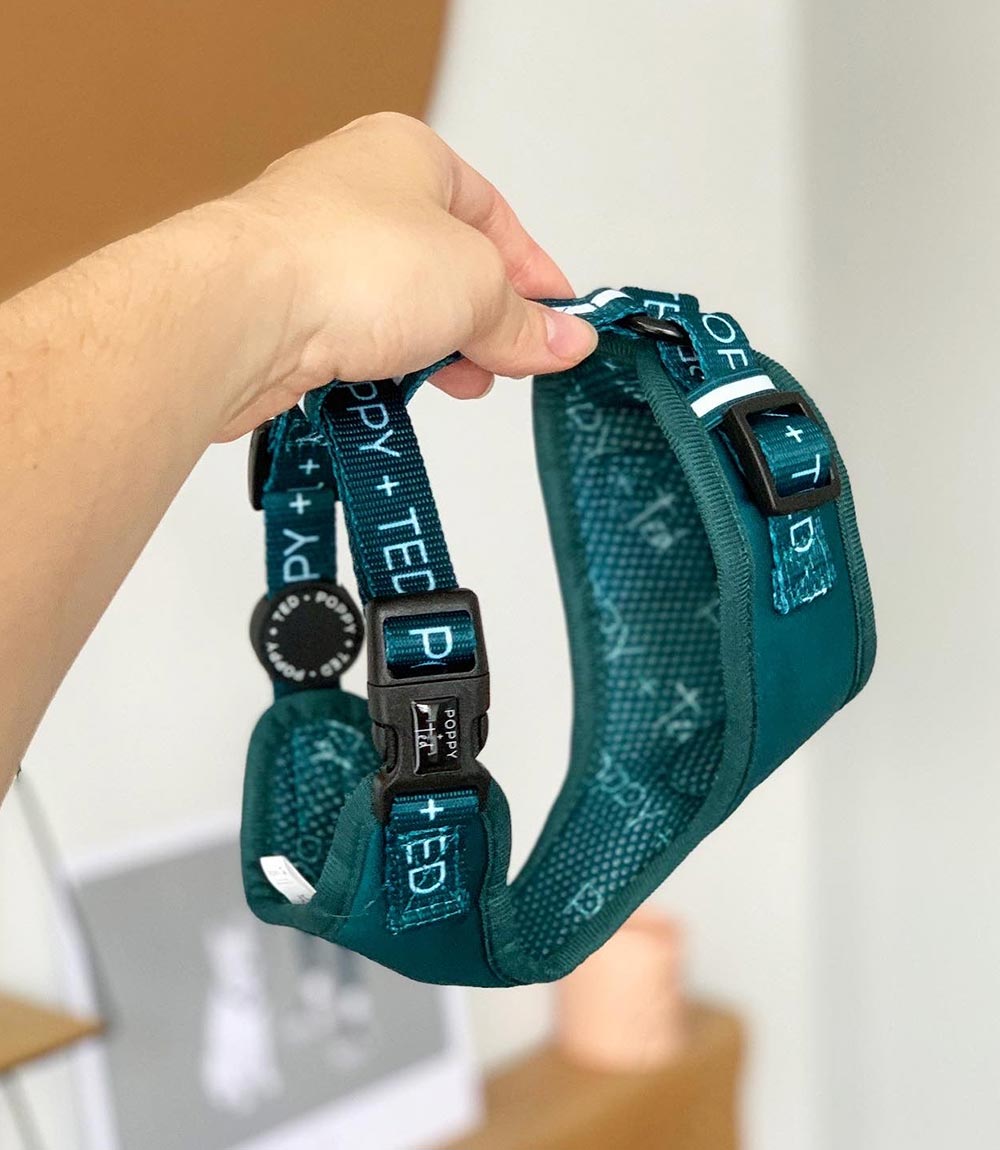 Poppy + Ted - Walk + Wear Teal Dog Harness - Nest Pets